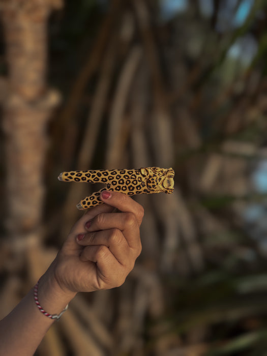 Unique kuripe pipe with a jaguar, created for Hape practices, handmade