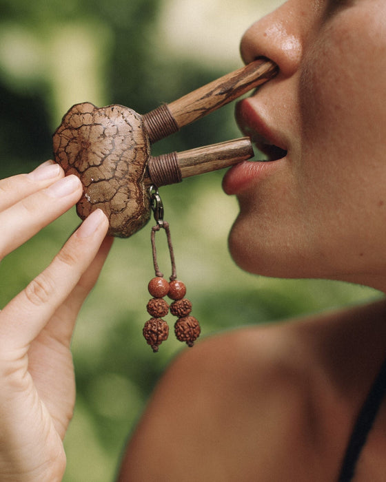Sacred Ayahuasca vine kuripe pipe adorned with rudraksha and goldstone, a handcrafted symbol for hape snuff rituals, nestled in natural greenery.