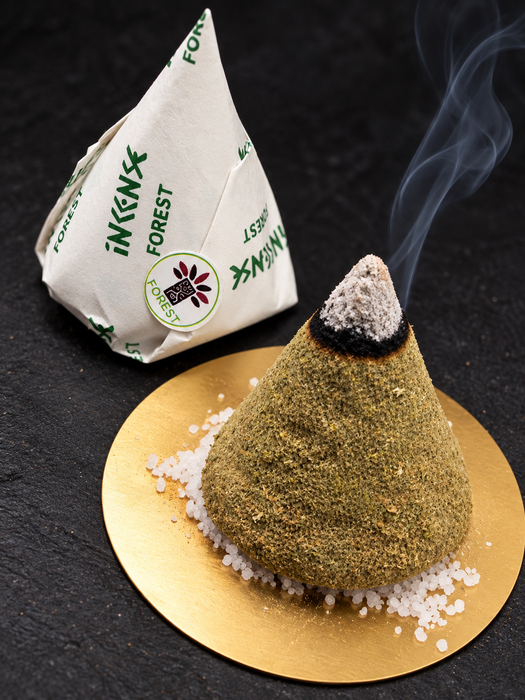 Forest Retreat Incense Cones | Natural Bali Handmade Incense | 30 pcs in Gift Tube with Holder