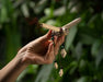 Hand holding a wooden and bead ornament against a blurred green background