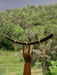 Gold earrings hanging from a wooden branch with a blurred green forest background