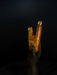 Wooden object with gold accents on a black background