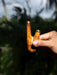 Hand holding a wooden archery bow nock against a blurred natural background