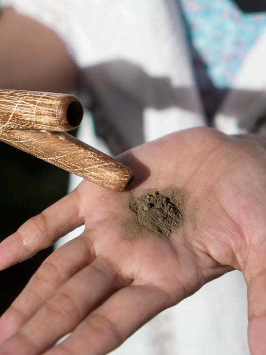 Hand holding a small amount of soil with two wooden sticks on a blurred background