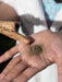 Hand holding a small amount of soil with two wooden sticks on a blurred background