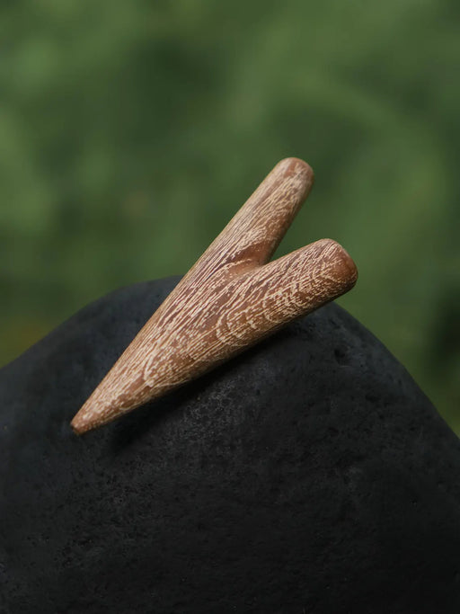 Two brown conical objects on a dark surface with a blurred green background