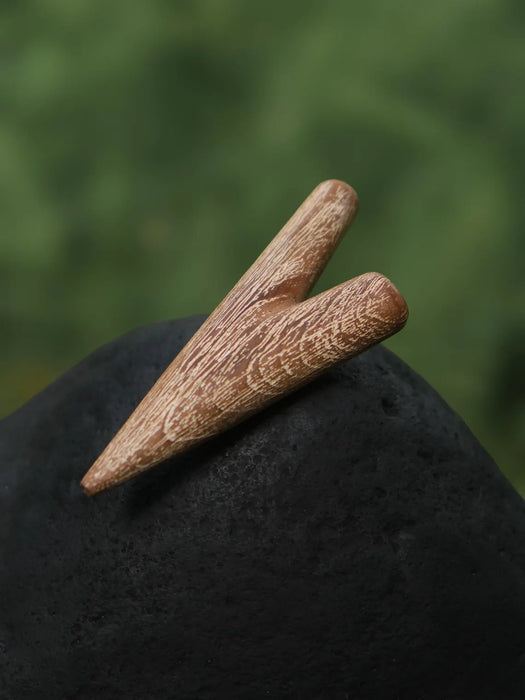 Two brown conical objects on a dark surface with a blurred green background