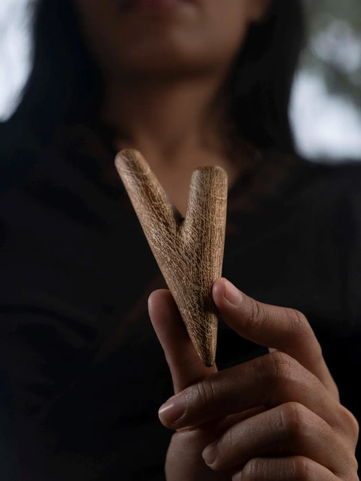 Person holding two pieces of cinnamon stick against a blurred background