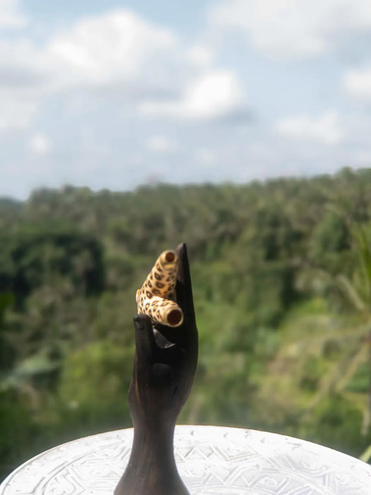Jaguar Kuripe Pipe - Handmade Shamanic Hape Snuff Applicator