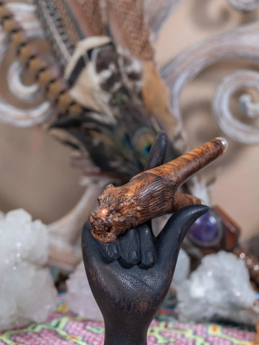 Hand holding a wooden object with peacock feathers and crystals in the background