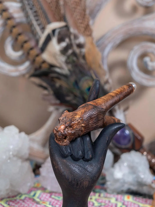Hand holding a wooden object with peacock feathers and crystals in the background