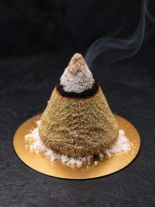 Forest Retreat Incense Cones | Natural Bali Handmade Incense | 30 pcs in Gift Tube with Holder