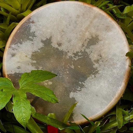 Hand-tuned tribal drum with intricately carved dragon handle, perfect for sound healing and spiritual ceremonies, crafted for a premium cosmic sound experience